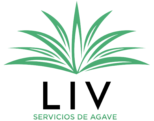 LIV Agave Services :: Servicios de Agave