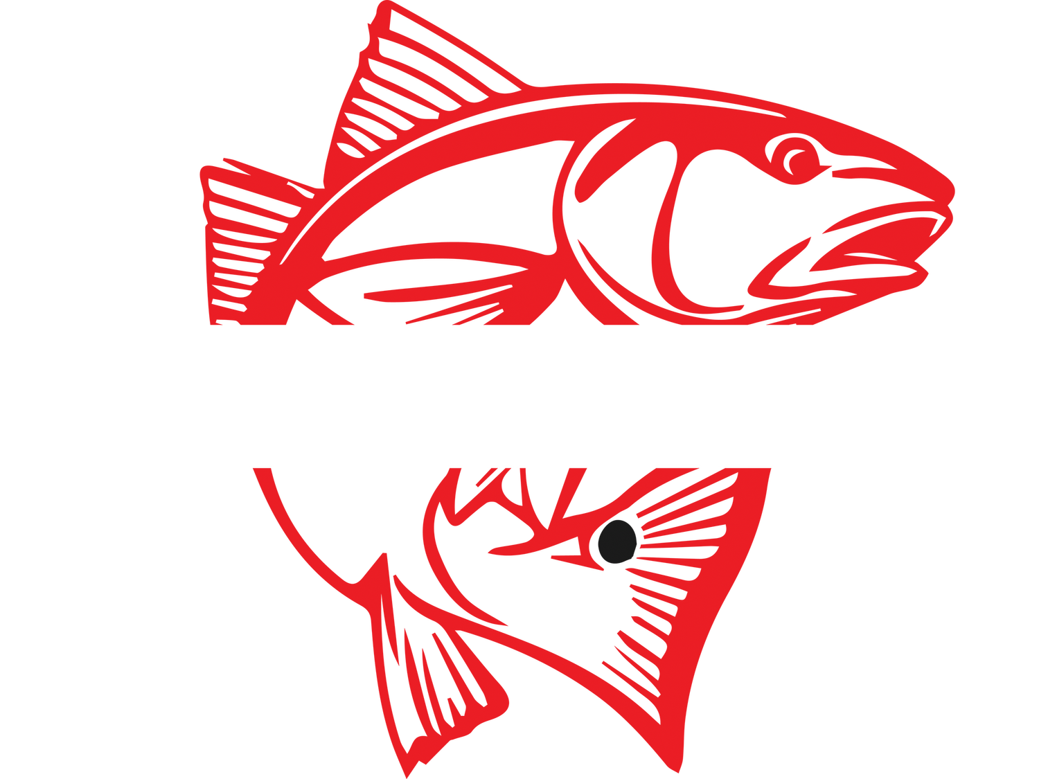 Mad Red Charters 