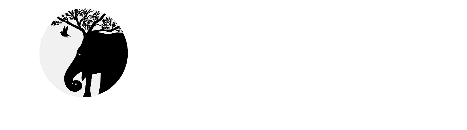 Divya Shankar Photography