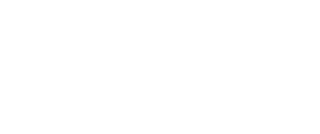 Destiny&#39;s Ride