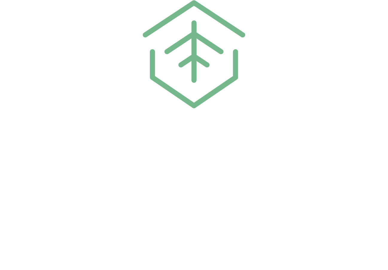Reroot Group