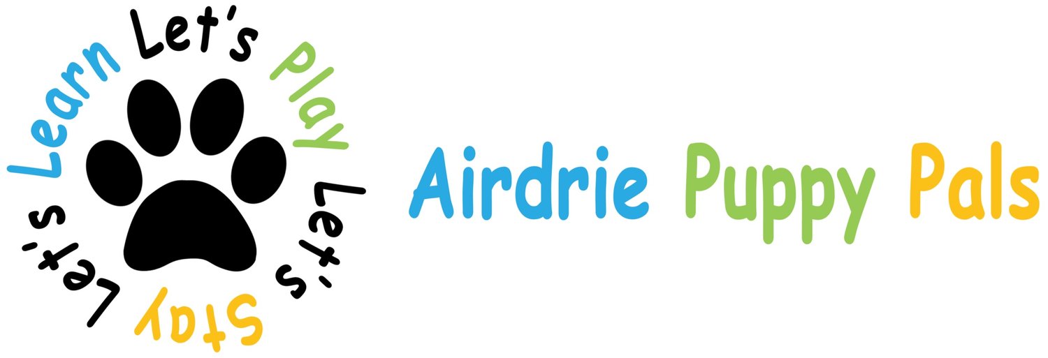 Airdrie Puppy Pals Dog Daycare and Training