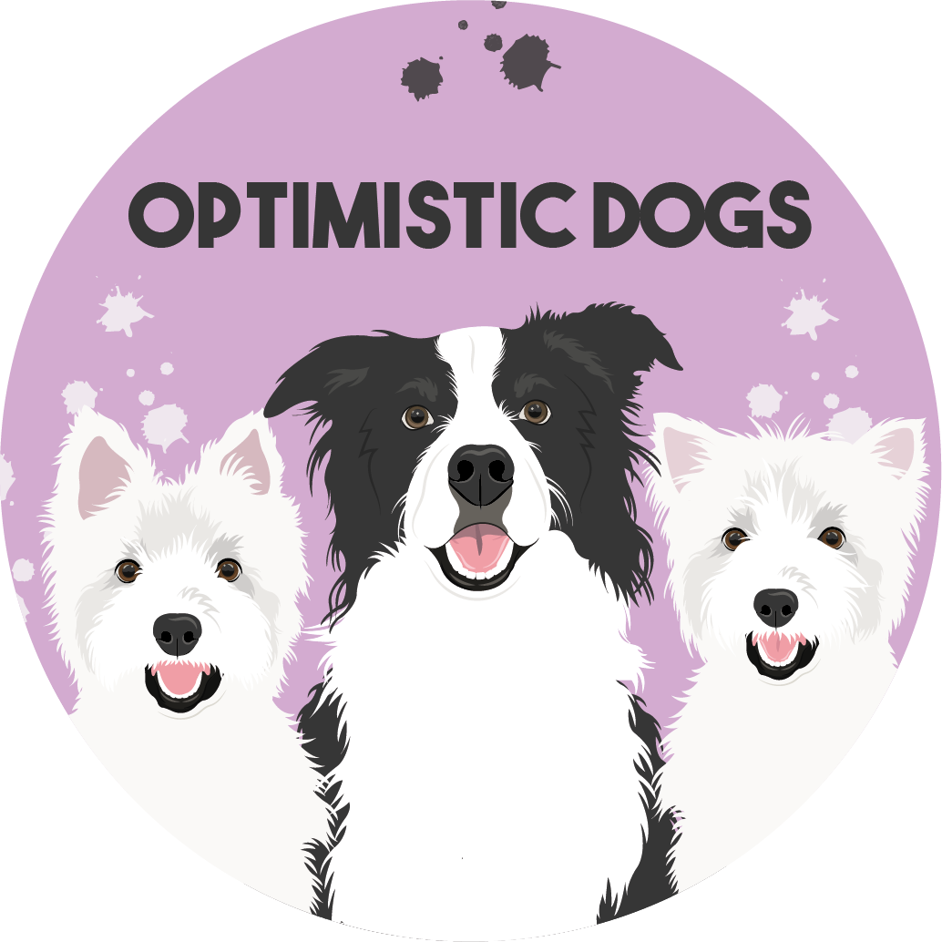 Optimistic Dogs - Dog Training