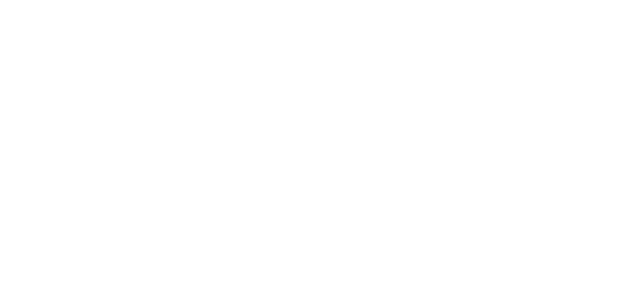 The Eco Laundry Company