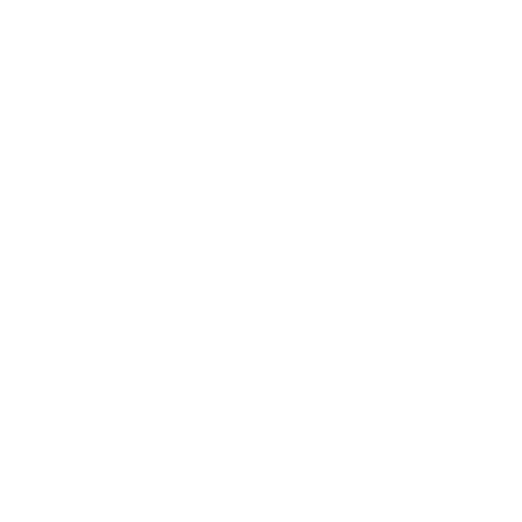 L.R. Lam