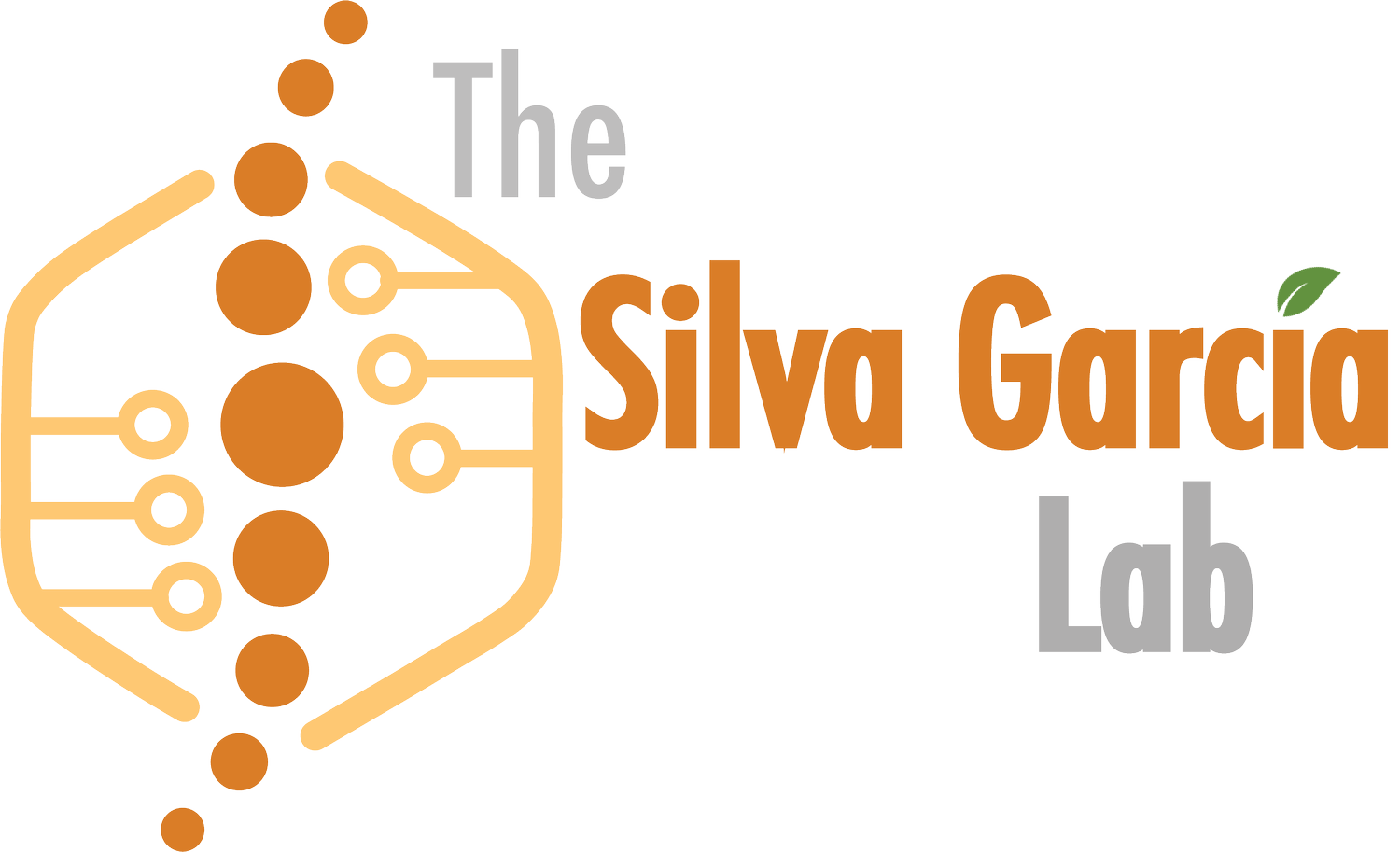 The Silva García Lab