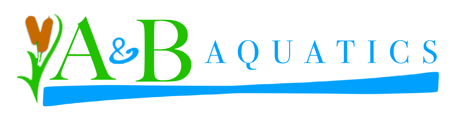 a&amp;b aquatics lake and pond management