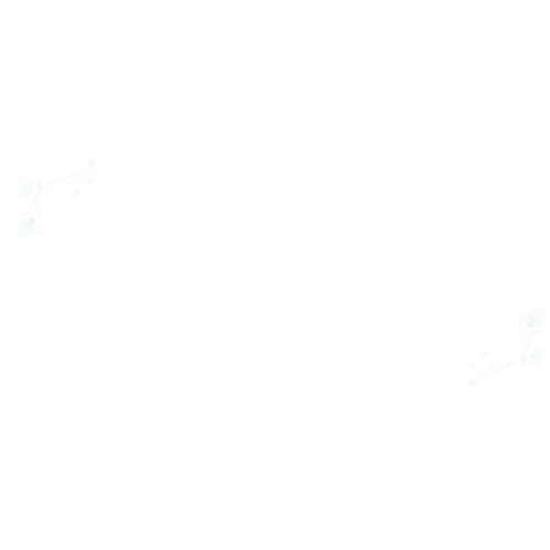 Jess Harris Photo + Film Co.