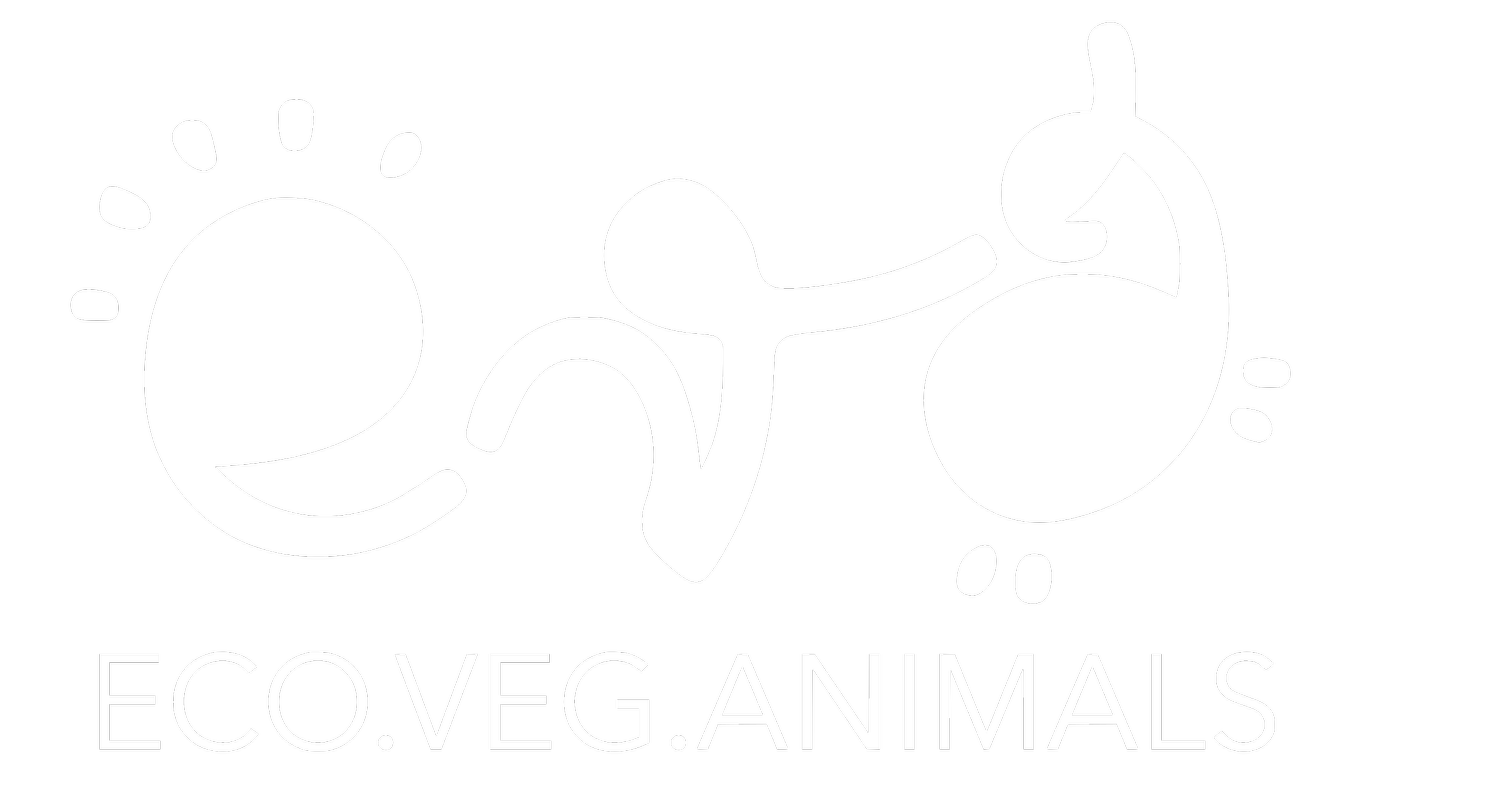 EcoVegAnimals