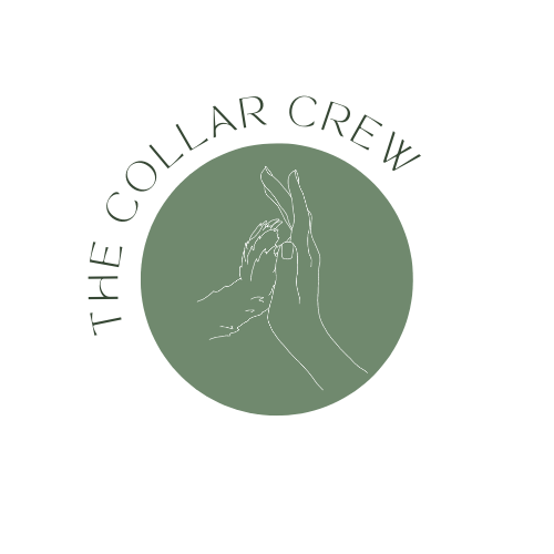 The Collar Crew Dog Boarding