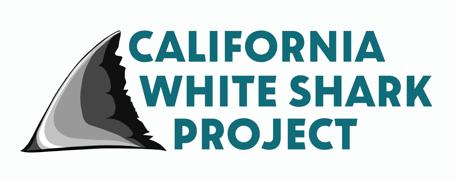California White Shark Project