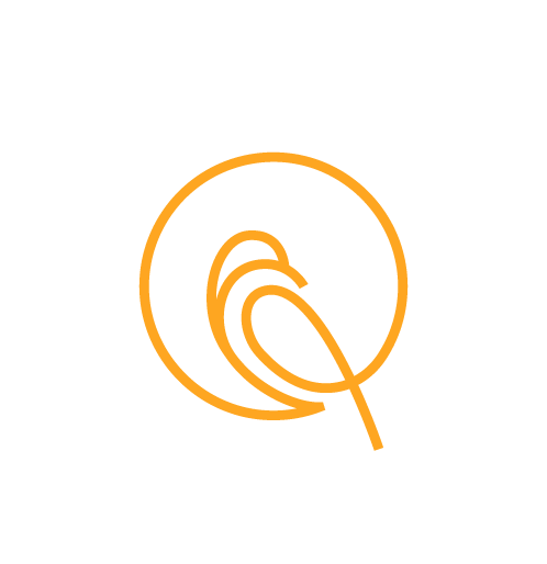 canary consulting