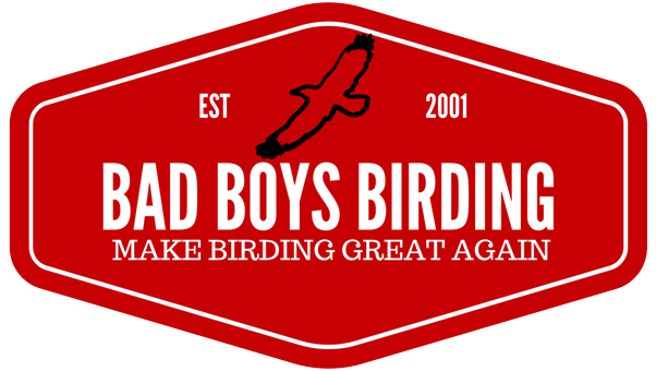 Bad Boys Birding