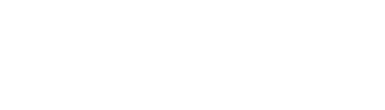 Saltwork Strategy
