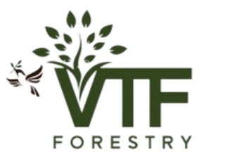 Vision 2050 Forestry