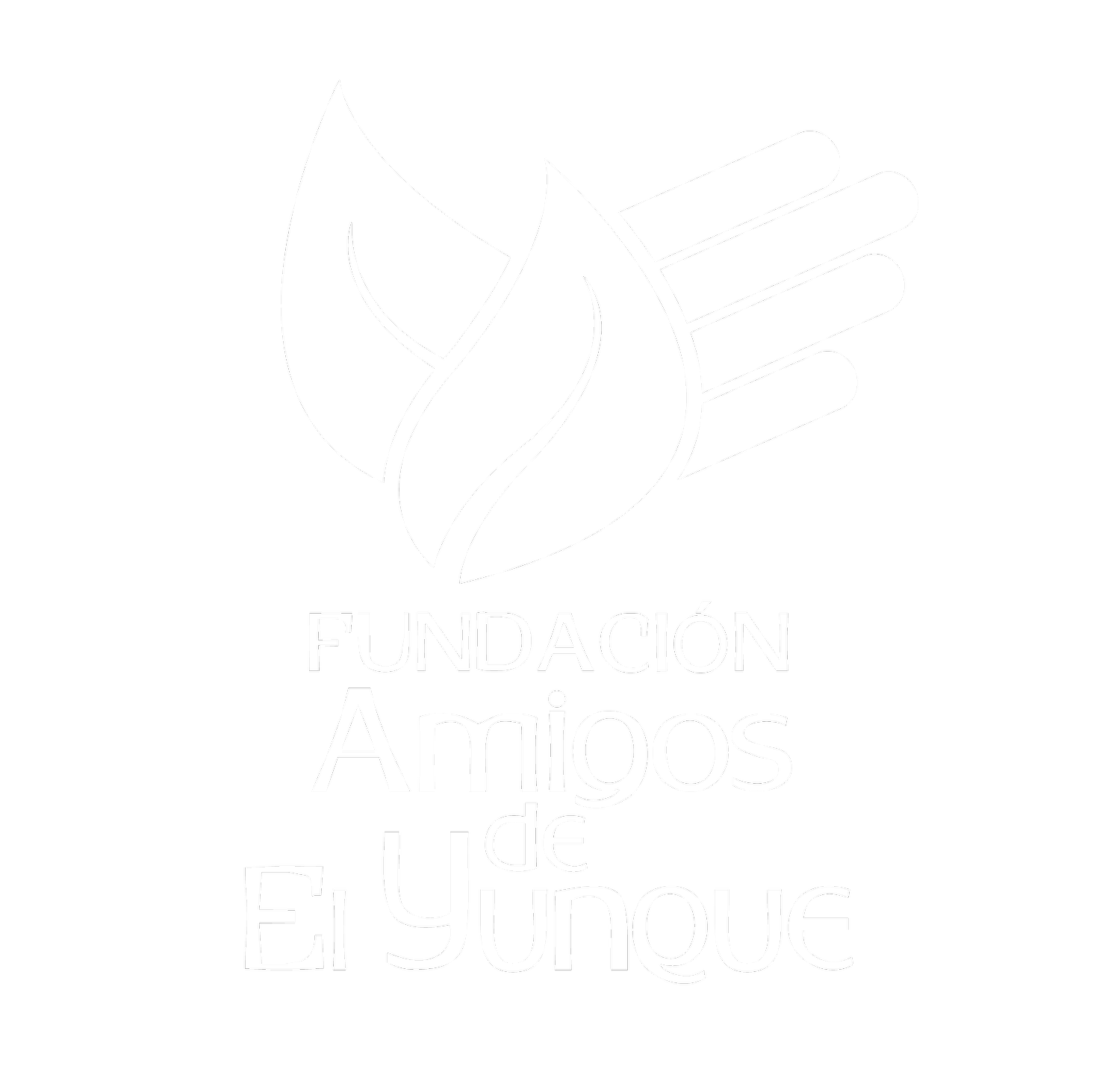 Fundación Amigos del Yunque, Inc. 