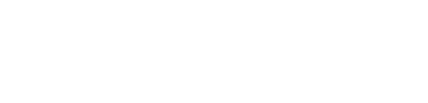 Quadric - Building Strategic Differentiation