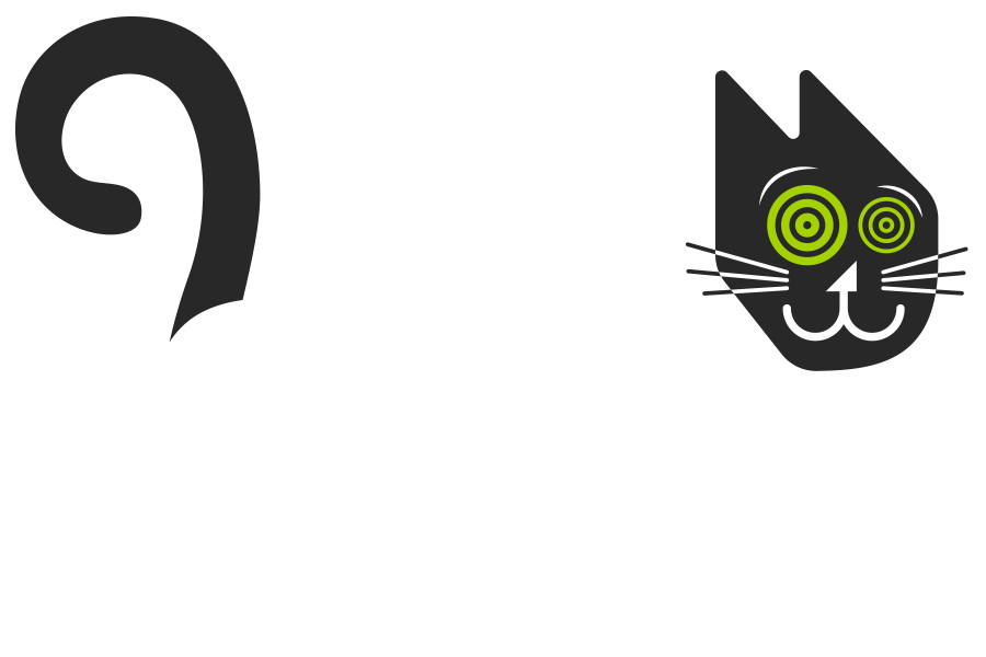 CatCrazy Channel