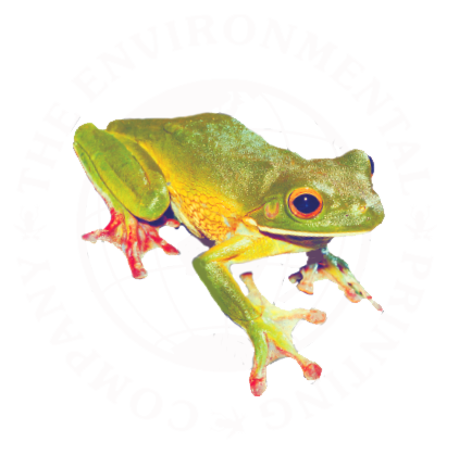 The Environmental Printing Co. | Perth, Western Australia | Recycled paper, vegetable Inks, sustainable, eco-friendly