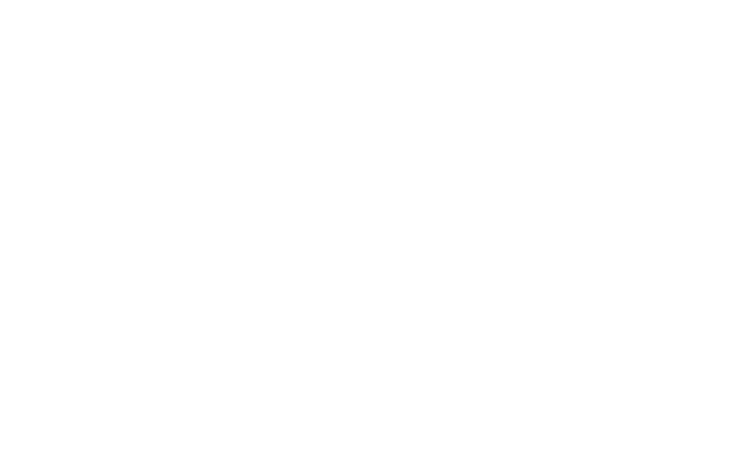 SWISS SEMESTER