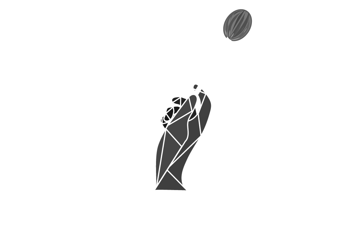 Fisher/Lau Project