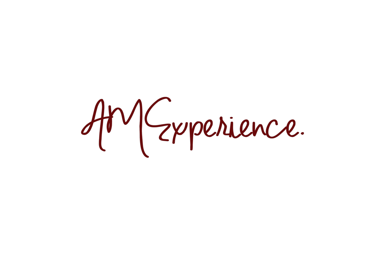 AMExperience