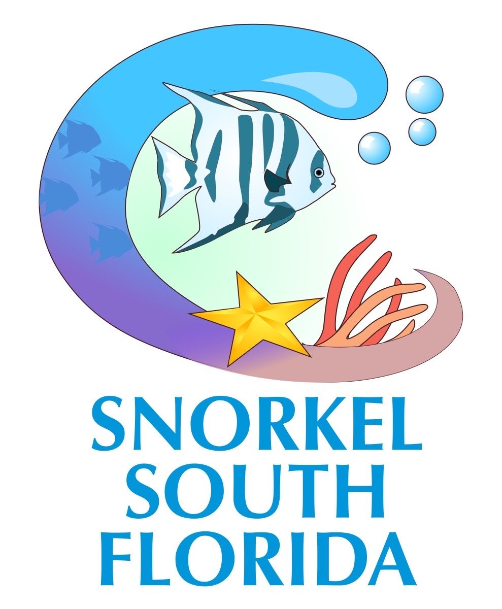 Snorkel South Florida