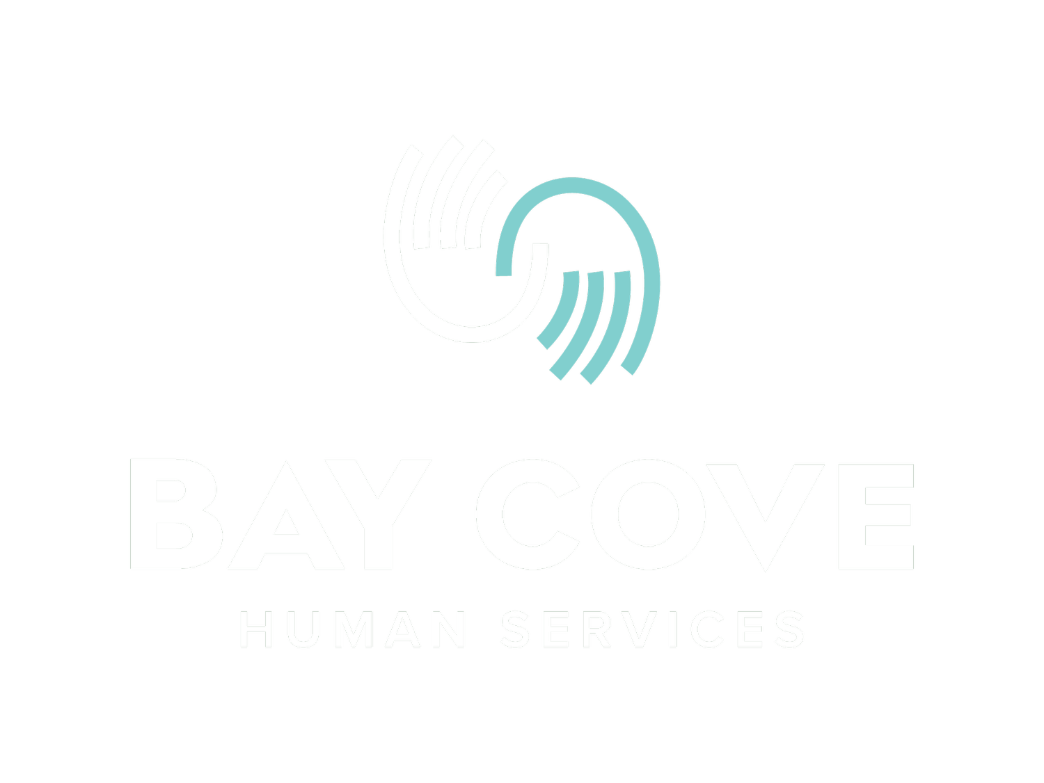 Bay Cove Human Services