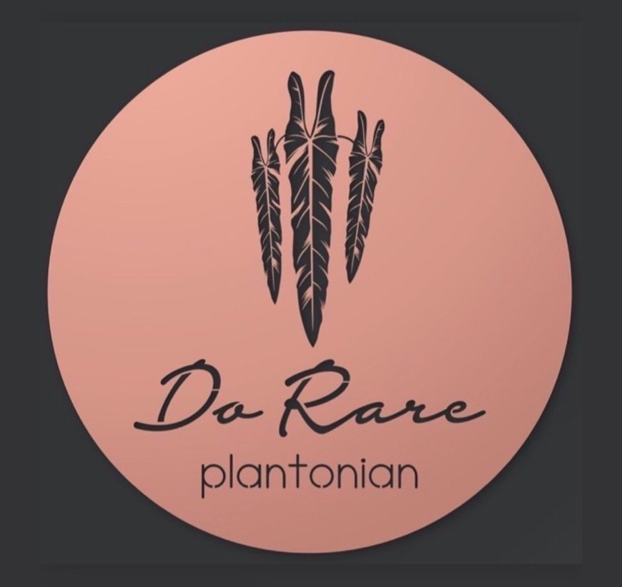 DoRare Plantonian