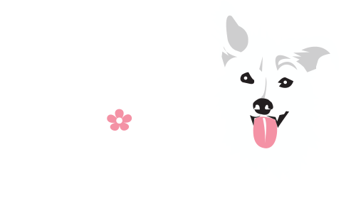 Crazy Daisy Dog Training