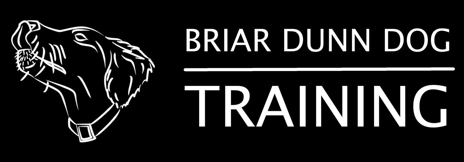 Briar Dunn Dog Training