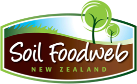 Soil Foodweb