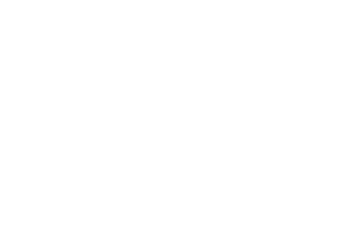 Tollymore Investment Partners