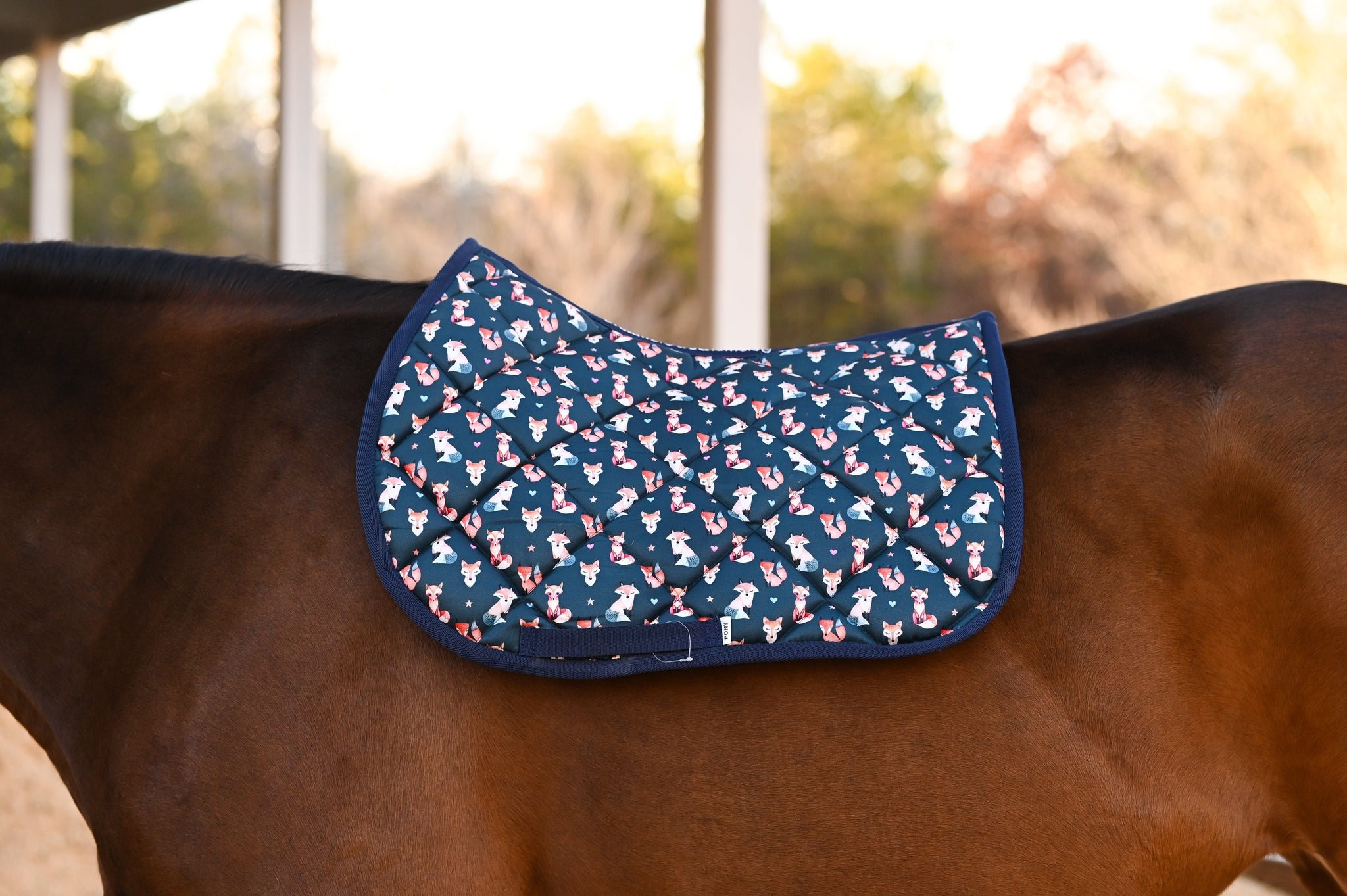 Hollywood Hills Socks & Saddle Pads  Dreamers & Schemers USA – dreamers &  schemers