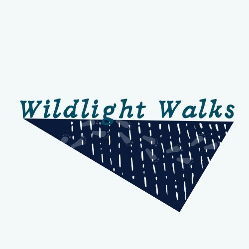 Wildlight Walks