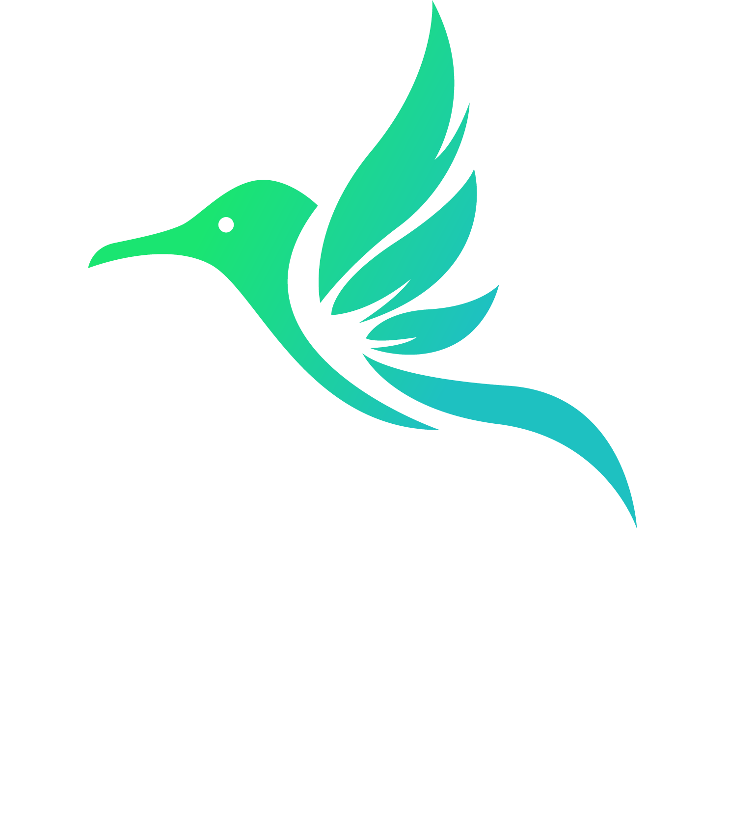 Colibri Magic