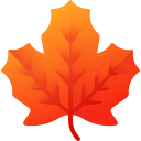 TJ  | Sweet Maple Leaf