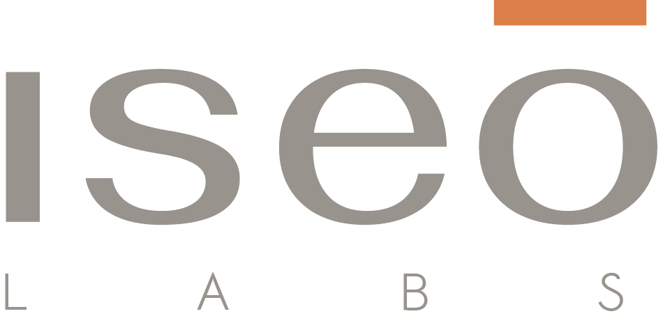 IseoLabs AG &mdash; Simplify your work with Information Management