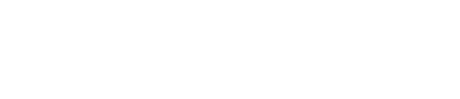 The Auction Event