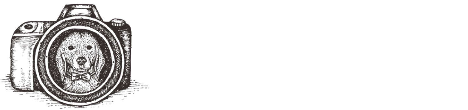 Charlie Nunn Photography