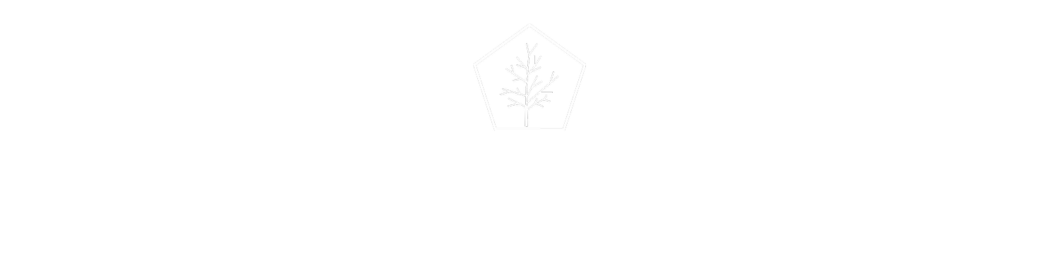 Little Tree Studios