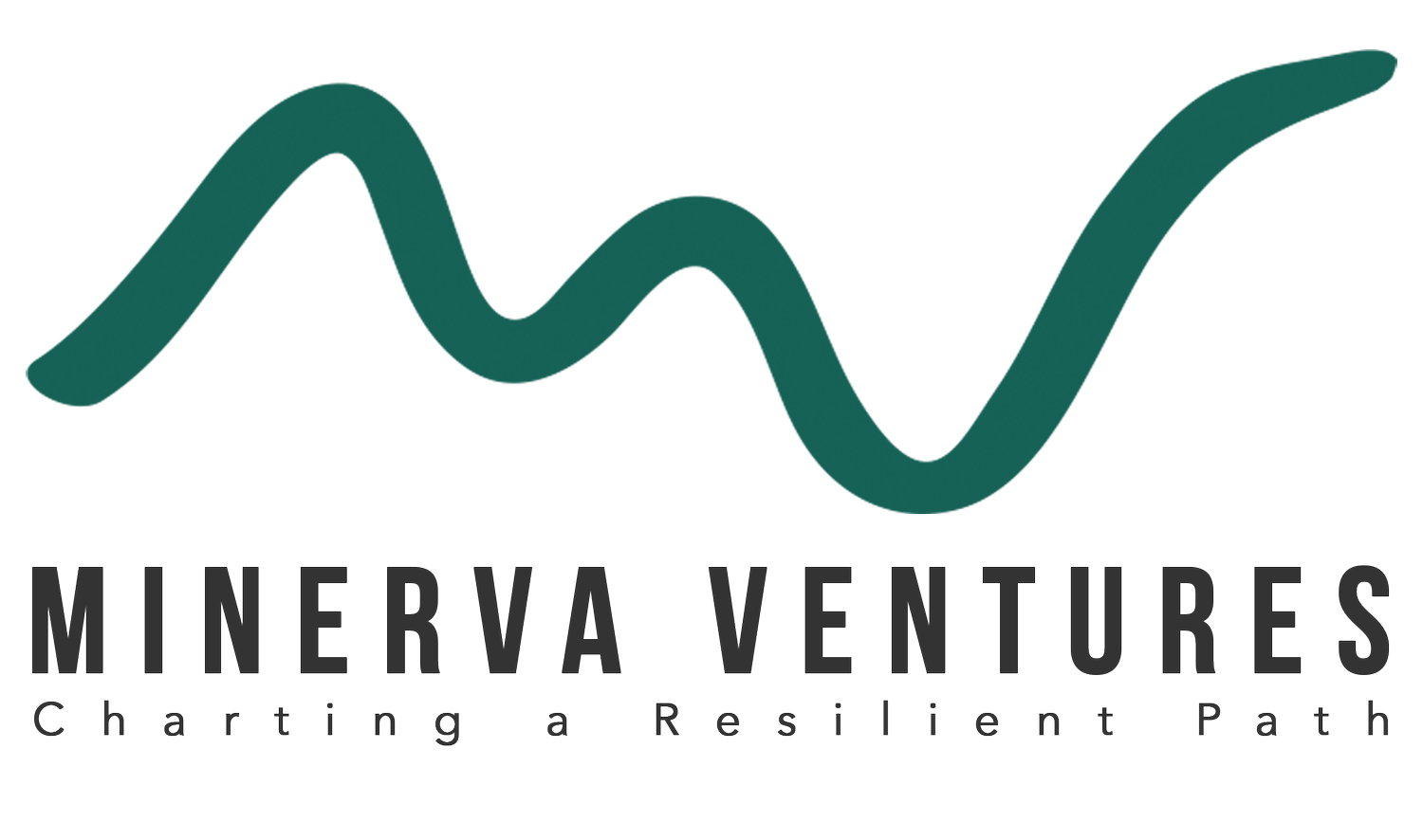 MINERVA VENTURES LLC