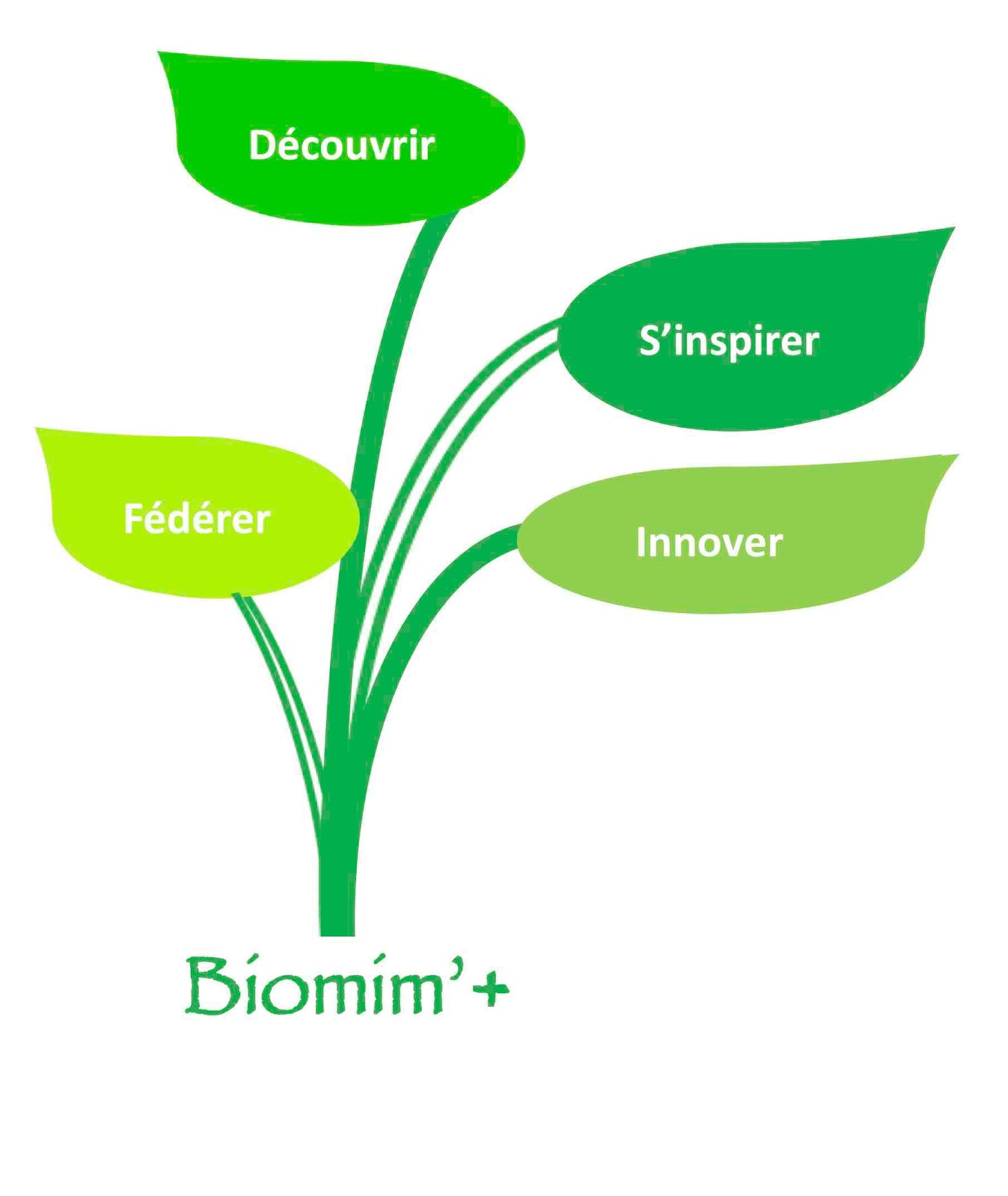 Biomim&#39;+ Deux intervenantes bio-inspirées pour un tissage de compétences