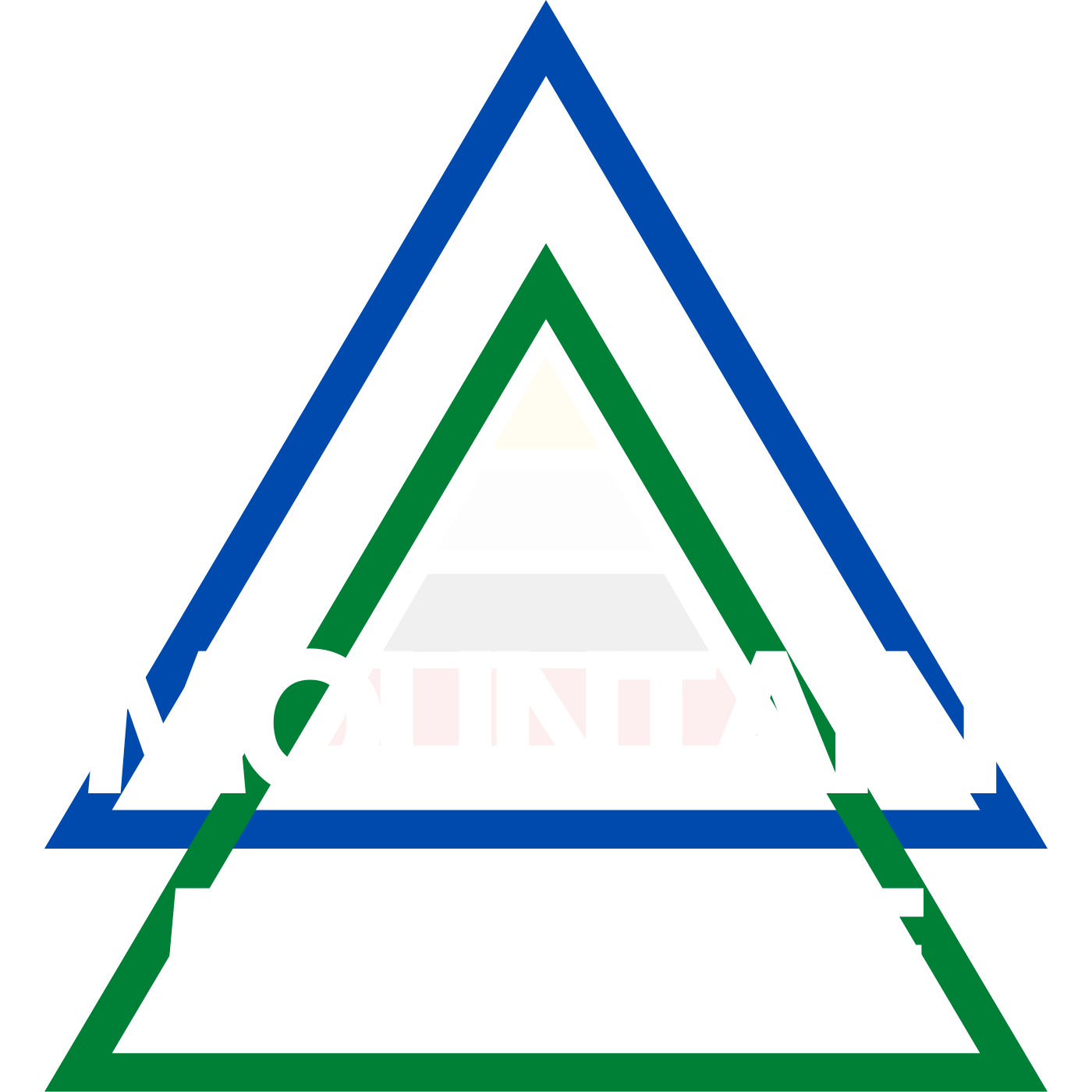 MOUNTAIN MEDICINE