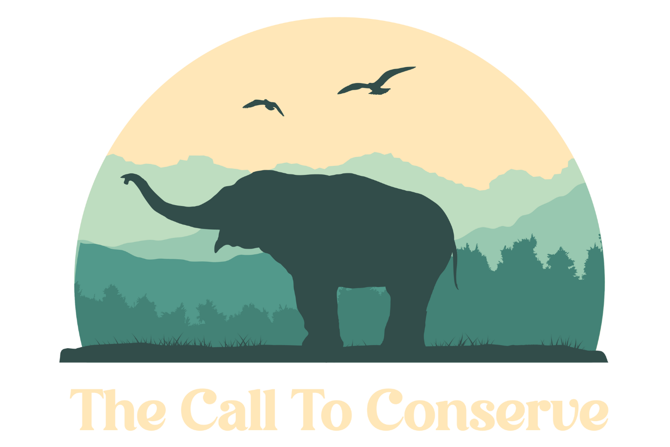 The Call to Conserve