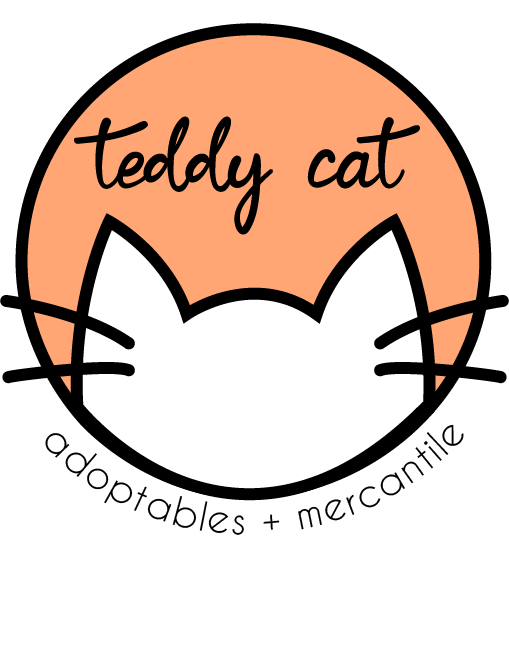Teddy Cat