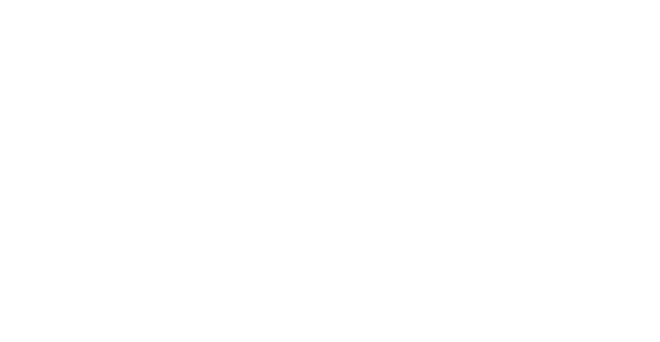 The Crane Group
