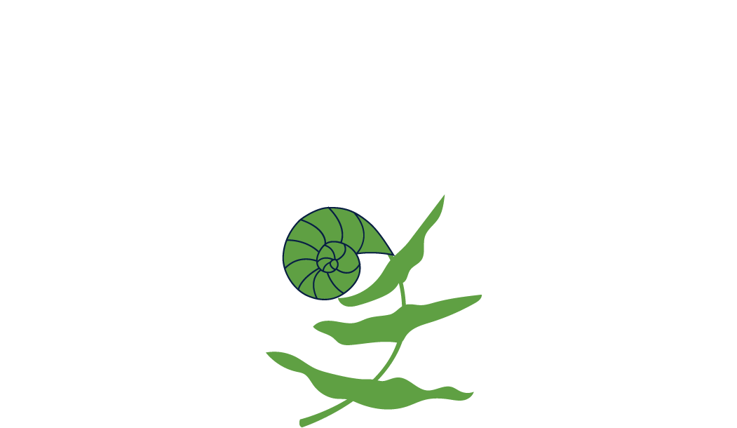 Meredith H. Perny PT, DPT, OCS, TPS | Unfurl Wellness