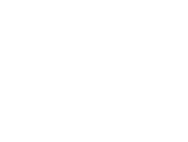The Dujon Foundation