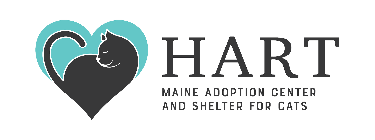 HART of Maine - Adoption Center &amp; Shelter for Cats